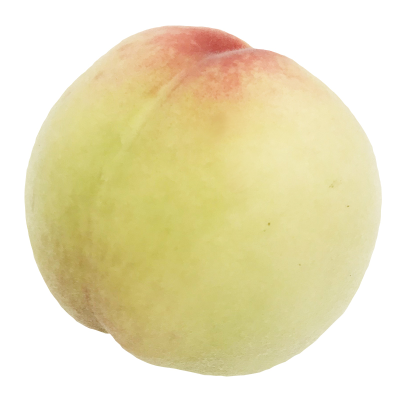桃の品種「はなよめ」の写真