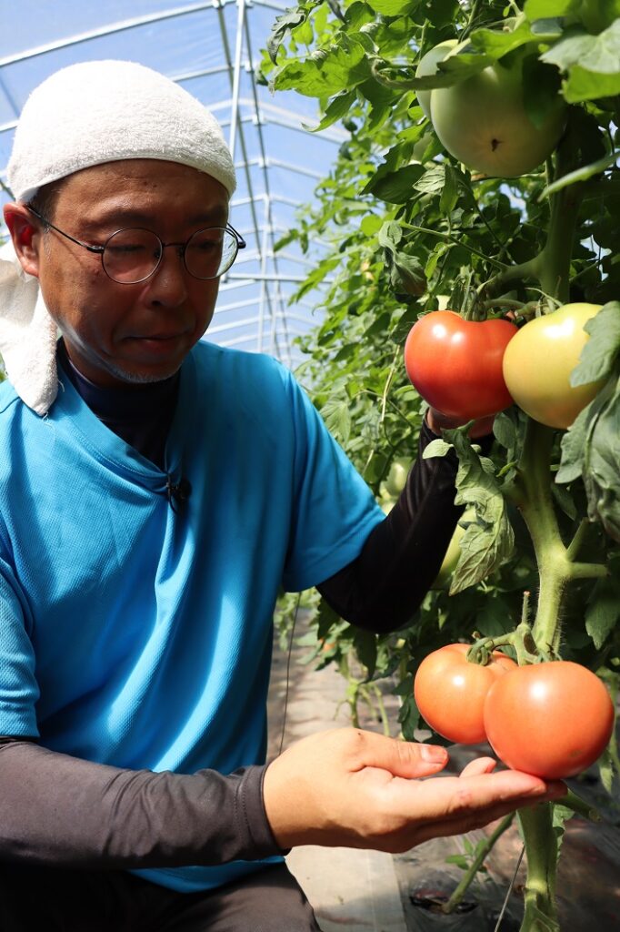 桃太郎トマト担い手確保の取り組み／びほくトマト部会 | JA晴れの国岡山