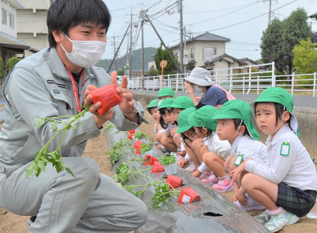 園児ら夏野菜栽培に挑戦 倉敷市 Ja晴れの国岡山 園児ら夏野菜栽培に挑戦 倉敷市 Ja晴れの国岡山