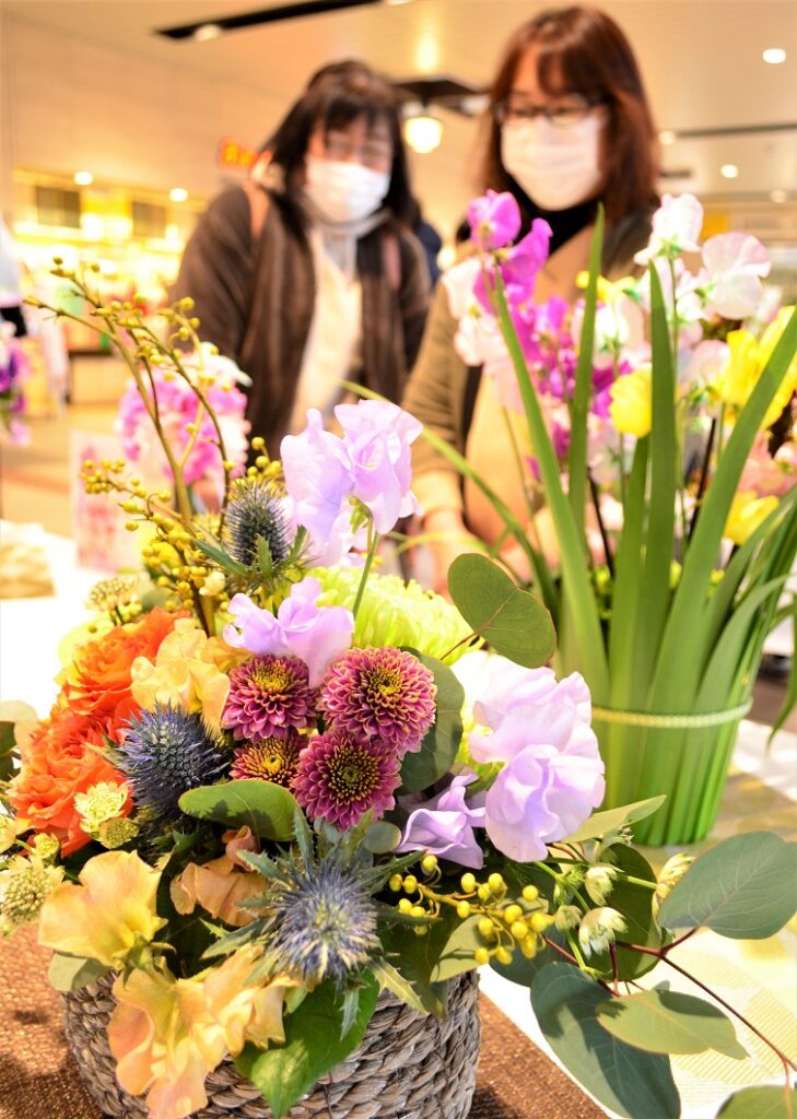 船穂スイートピーｐｒ多彩に 船穂町 Ja晴れの国岡山