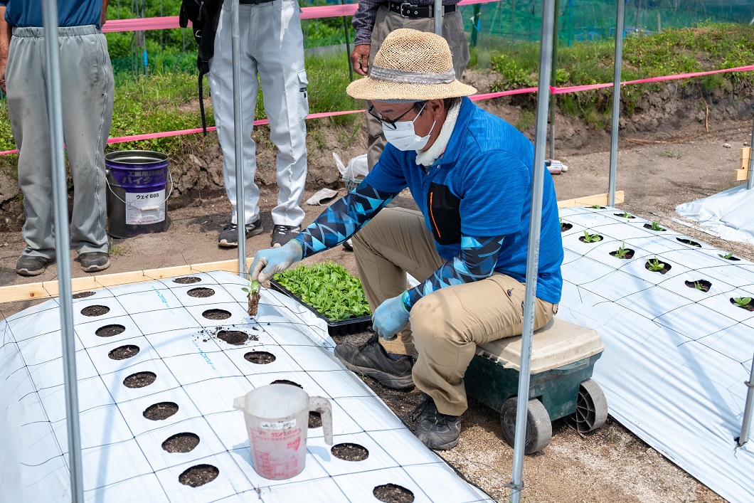 リンドウ栽培管理指導 津山統括本部 Ja晴れの国岡山 リンドウ栽培管理指導 津山統括本部 Ja晴れの国岡山