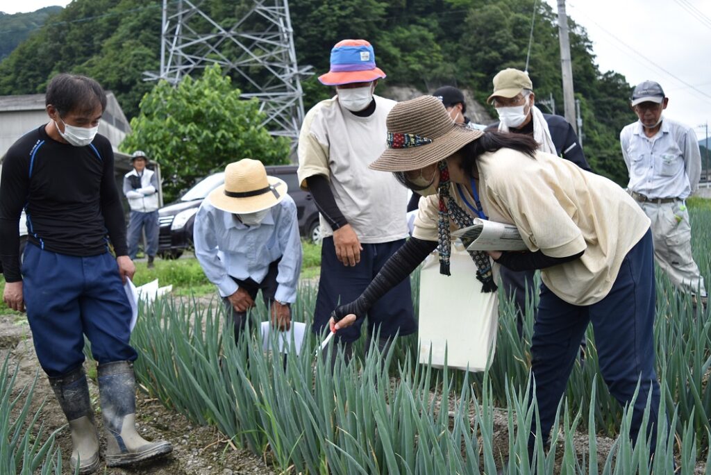 白ネギ産地拡大へ講習会／真庭市