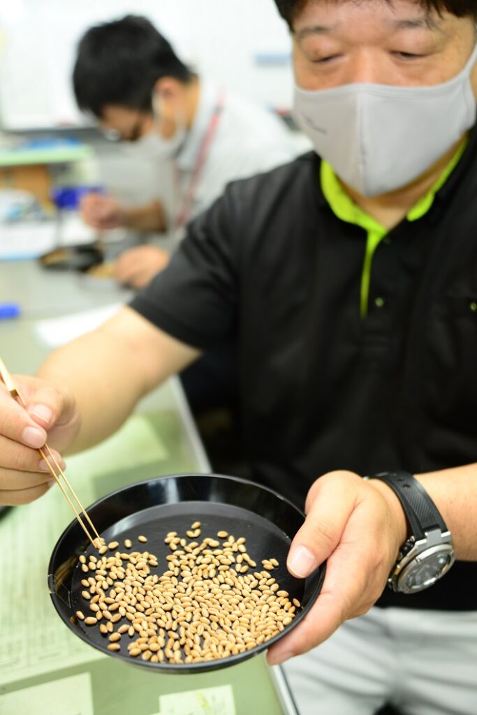 小麦仕上がり順調/津山統括本部