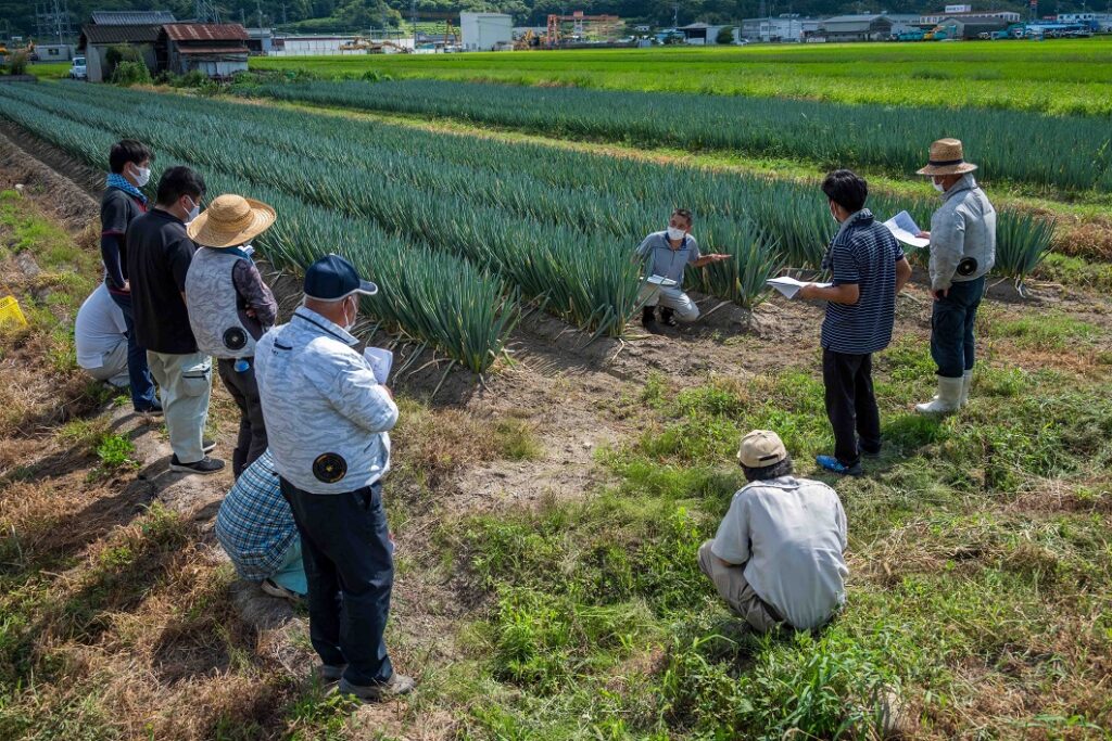 白ネギの栽培管理学ぶ／津山統括本部