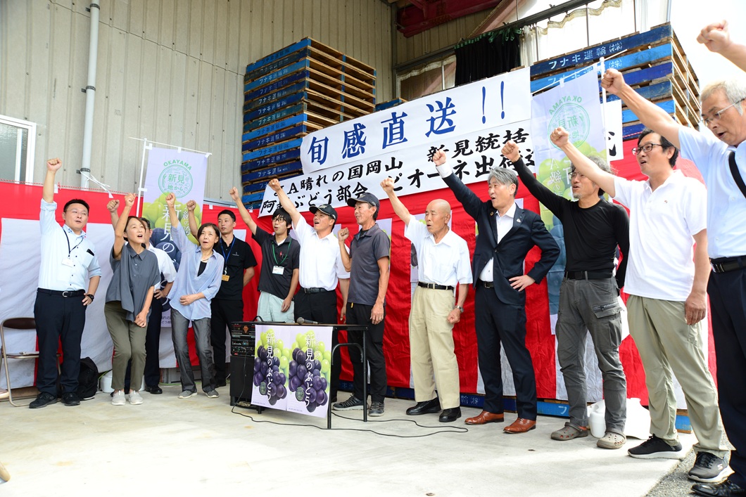 「ピオーネ」出荷本格化　適期収穫、近赤外光照射　鮮度保持で巻き返し／阿新ぶどう部会