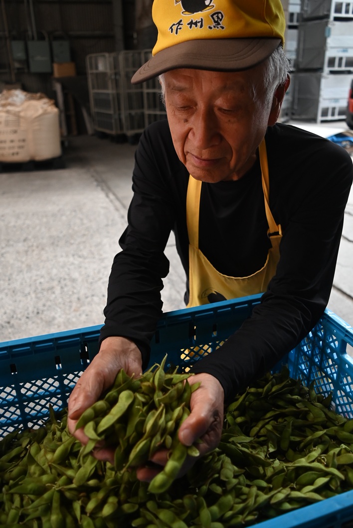 黒大豆エダマメ出番　高温対策で収量期待／勝英地区