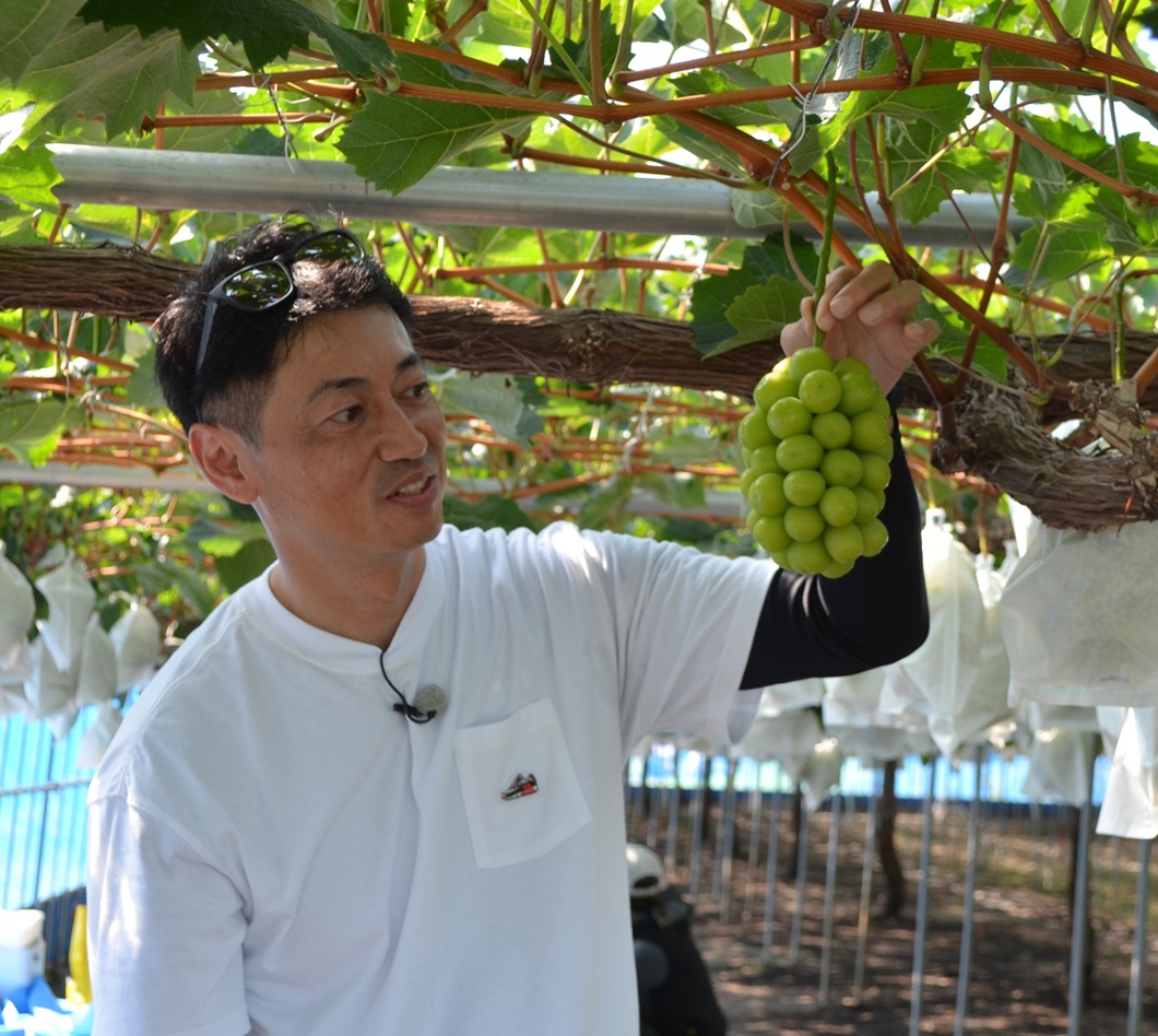 妥協せずおいしさ追求／くらしき東温室ぶどう部会・犬飼知晴さん