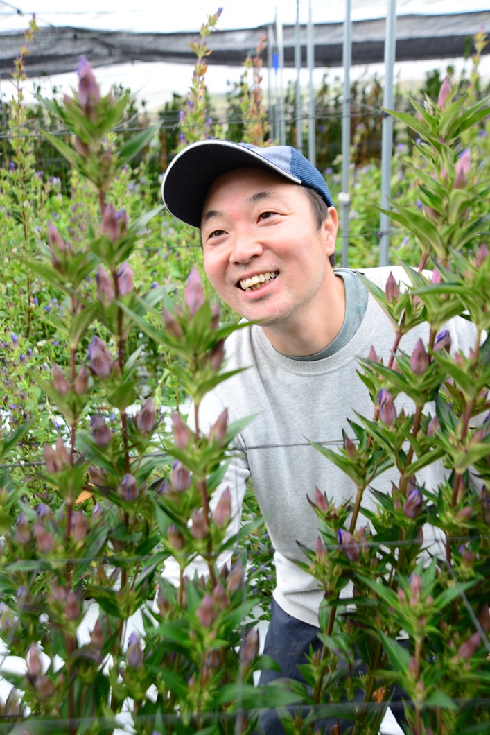 部会の仲間と志一つに　リンドウで新規就農／新見花卉部会・佐藤亮さん