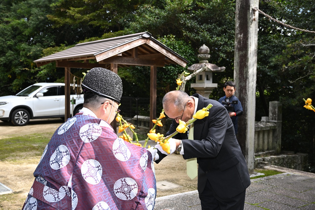 フォックスフェイス出荷　黄色で幸運お届け