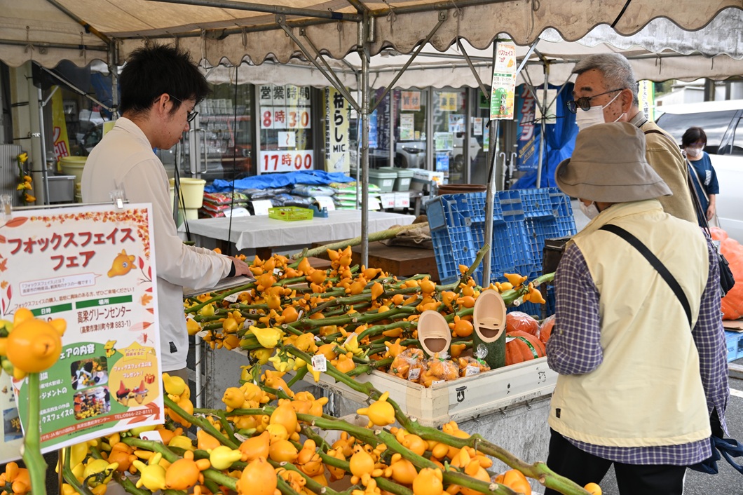 「フォックスフェイス」　色鮮やかに来場者魅了