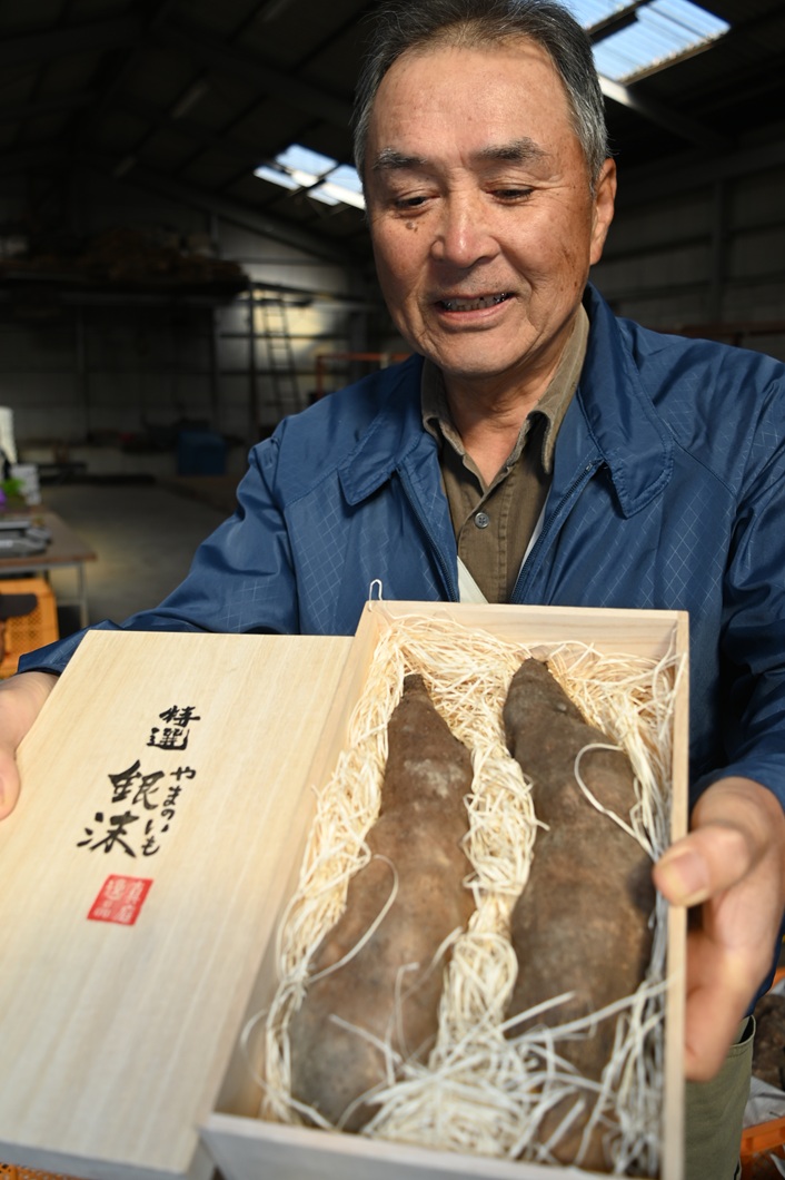 ヤマノイモ「銀沫」 「特選」で付加価値 桐箱入りで贈答用に/かつやまのいも生産組合