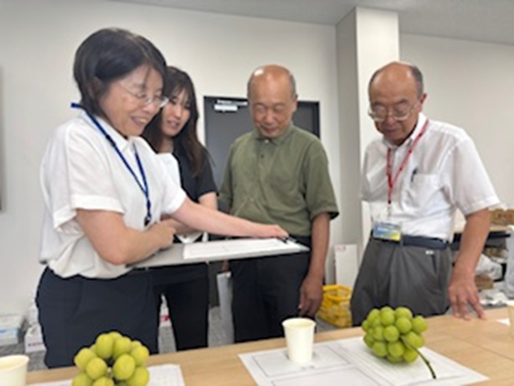 果実共進会でブドウの品質競う　シャインマスカット小宮山さん、マスカット・オブ・アレキサンドリア浅野さんＶ