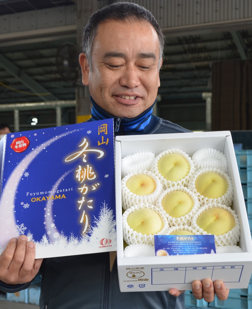希少な岡山の白桃「冬桃がたり」　吉備路地区で選果・販売始まる／吉備路もも出荷組合