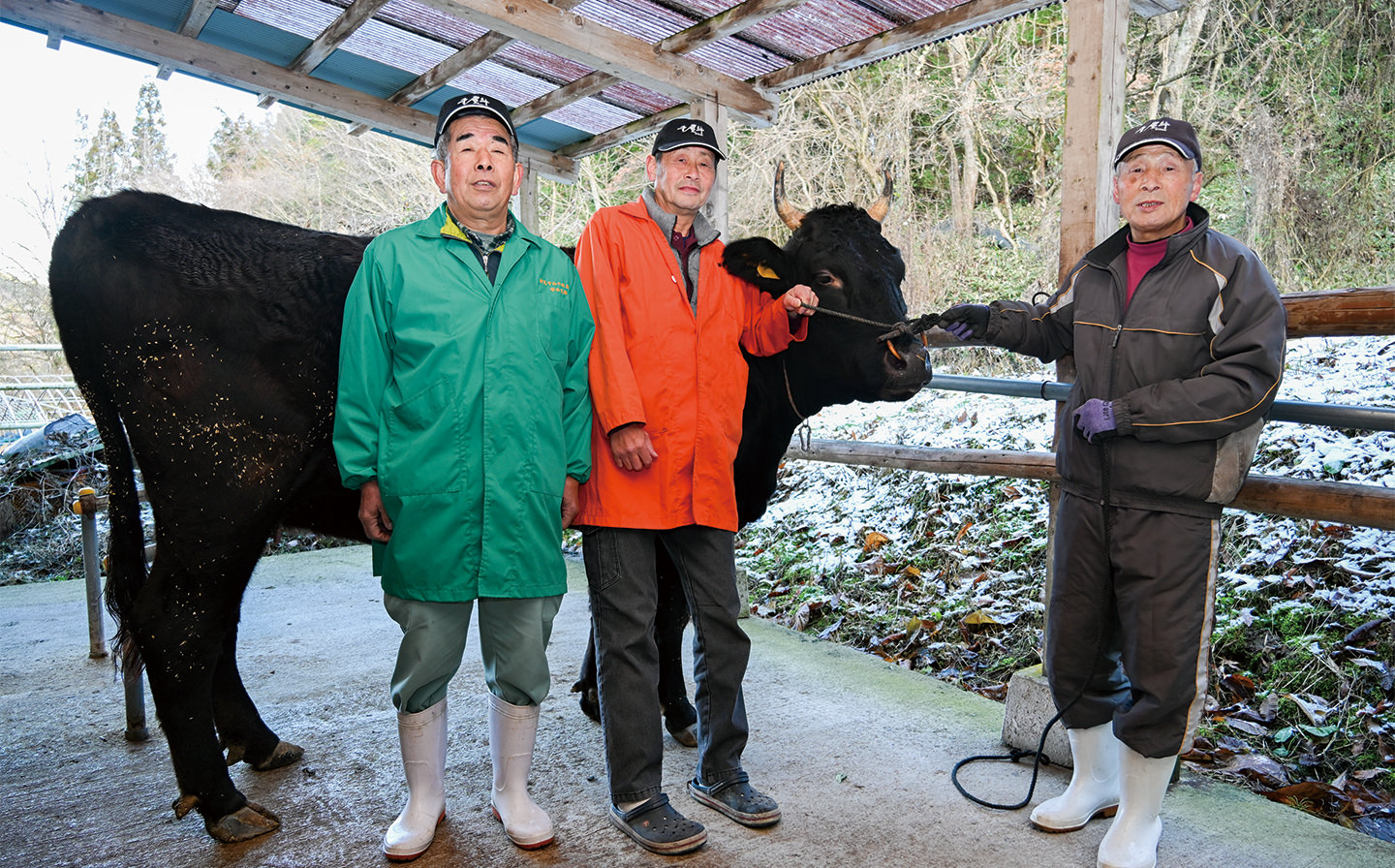 【生産部会紹介】新見市和牛改良組合（新見地域）