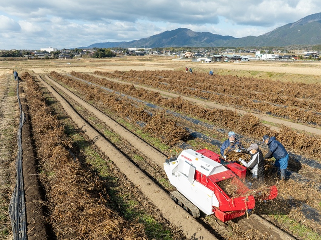 黒大豆を産地化 作州黒で農地守る 規格外も無駄なく
