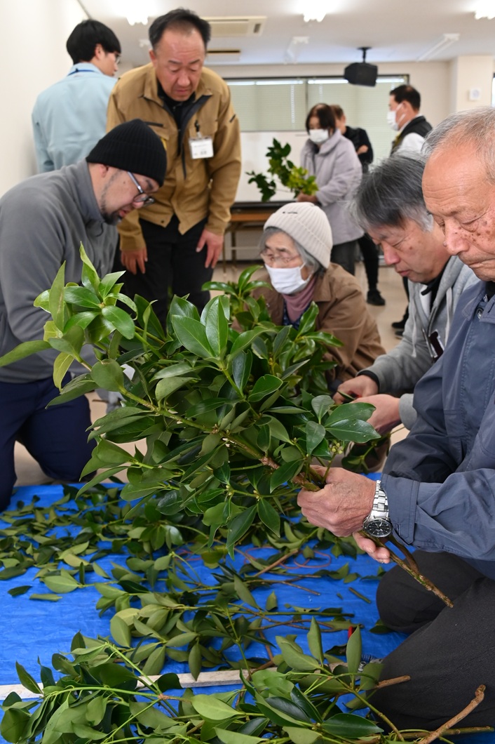 シキミ栽培50年 技術次世代につなぐ 高齢化向き合い法人設立を予定/加茂シキミ生産組合