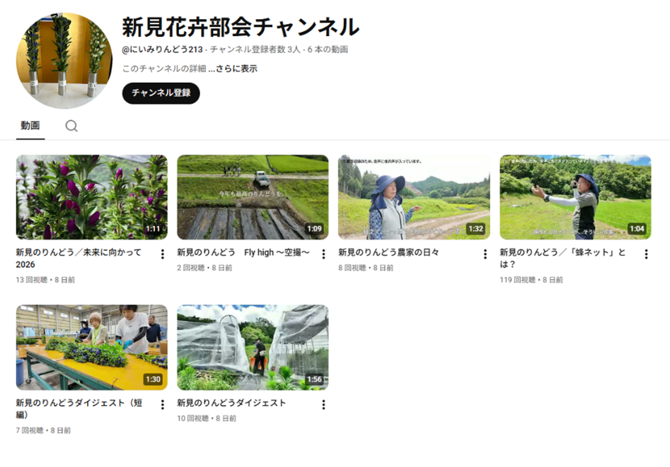 リンドウを始めませんか 新規栽培の仲間を募集中 農家の日々や産地概要など動画で紹介