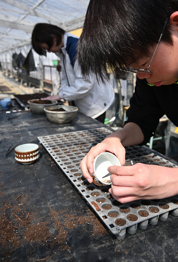 トマトの安定生産を下支え／新見基幹アグリセンター