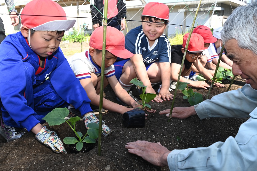 特産キュウリ身近に　部会が小学校で体験学習／ＪＡ久米南キュウリ部会
