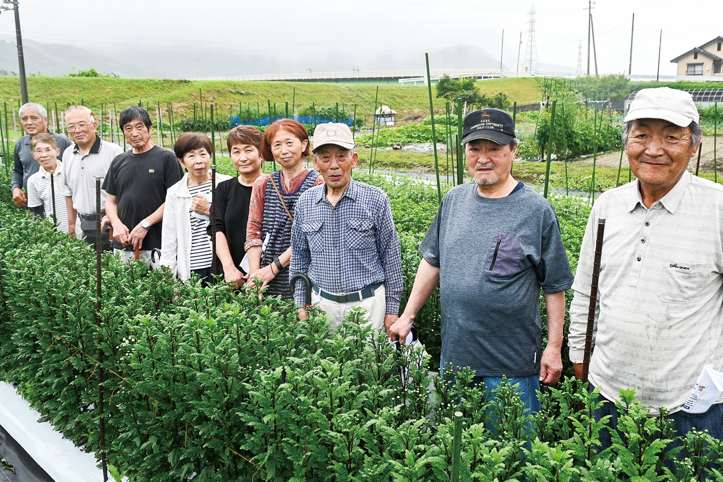 【生産部会紹介】まにわ花き部会協議会