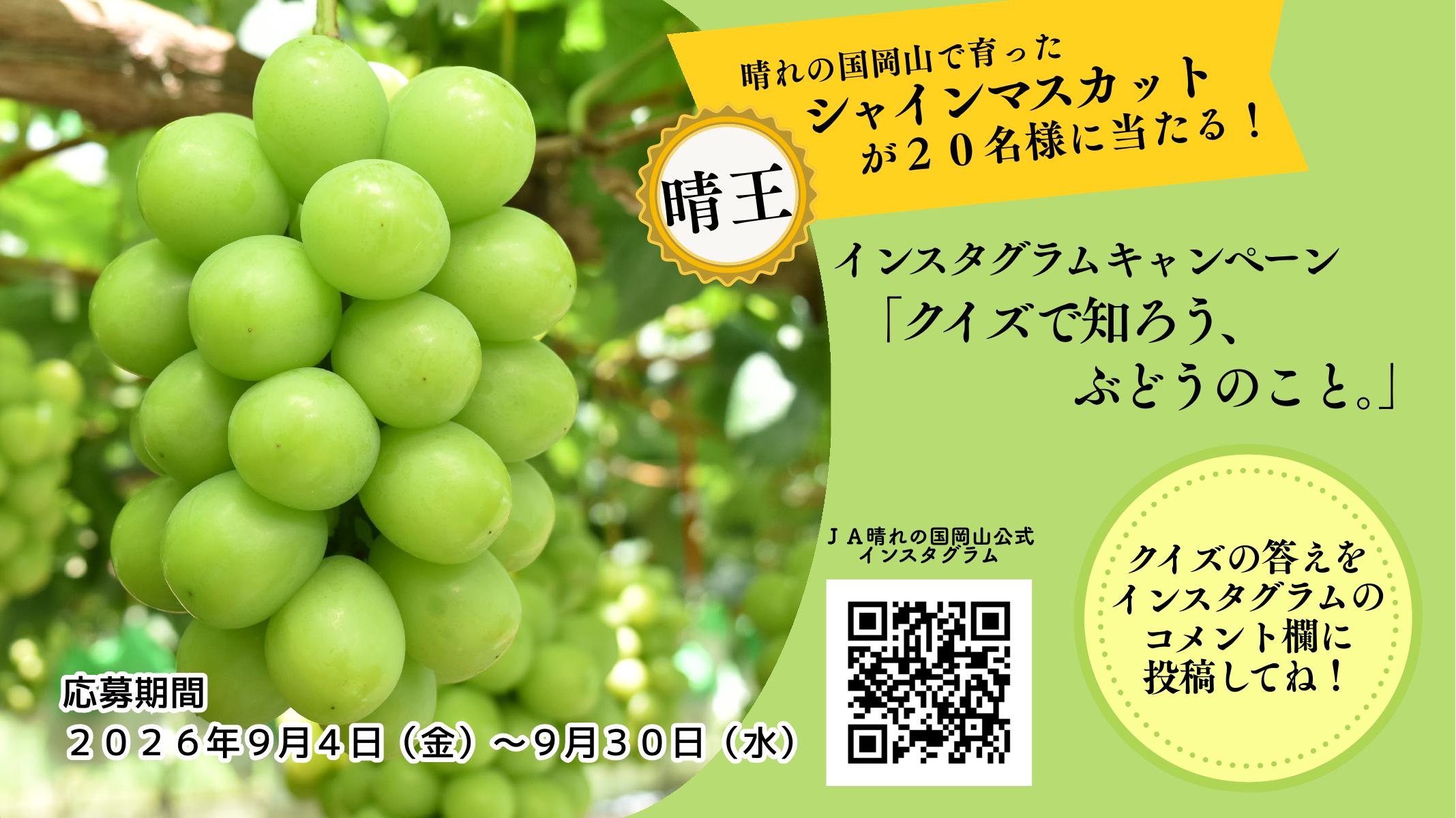 ブドウキャンペーン2026_HP_20260904スタート