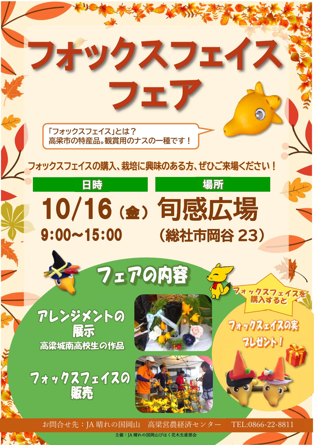 フォックスフェイス10月16日