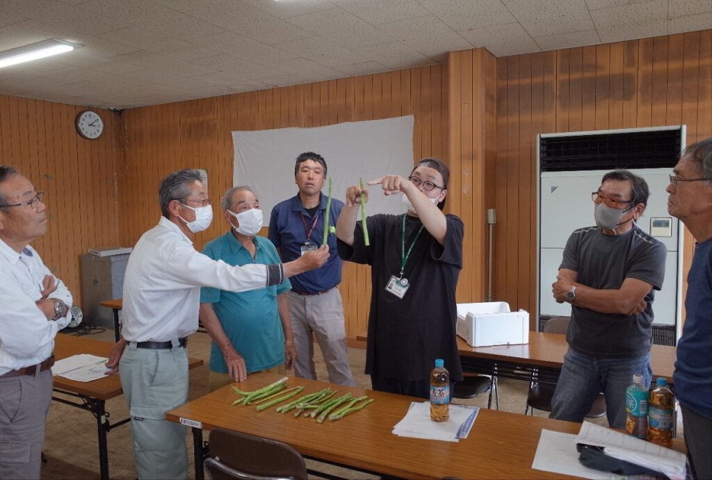 アスパラガス夏目目揃えで作業確認／つやまアスパラガス部会