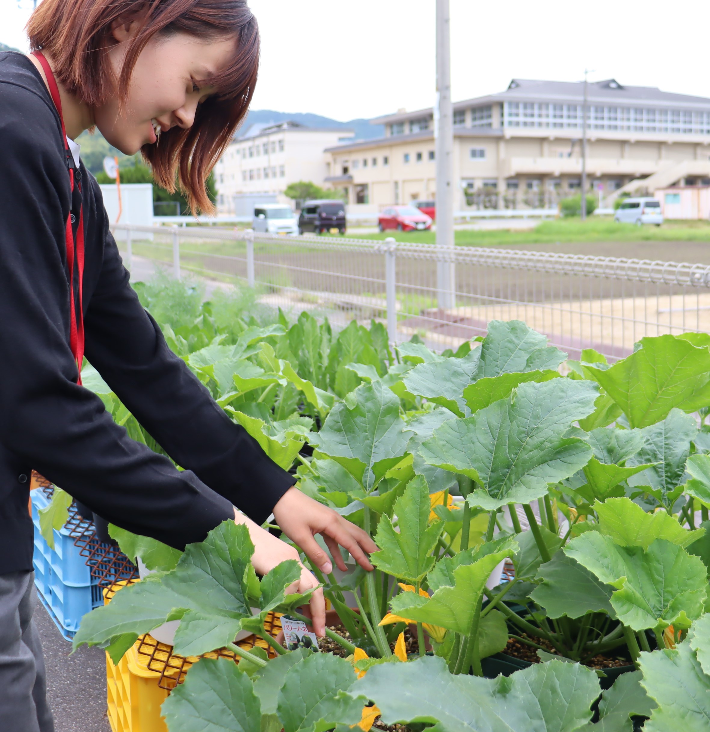 6月5日～12日 大阪・関西万博に矢掛町のイタリア野菜を展示します