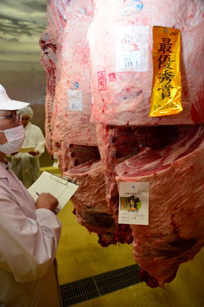 千屋牛の枝肉競う／ 新見市和牛改良組合肥育部会