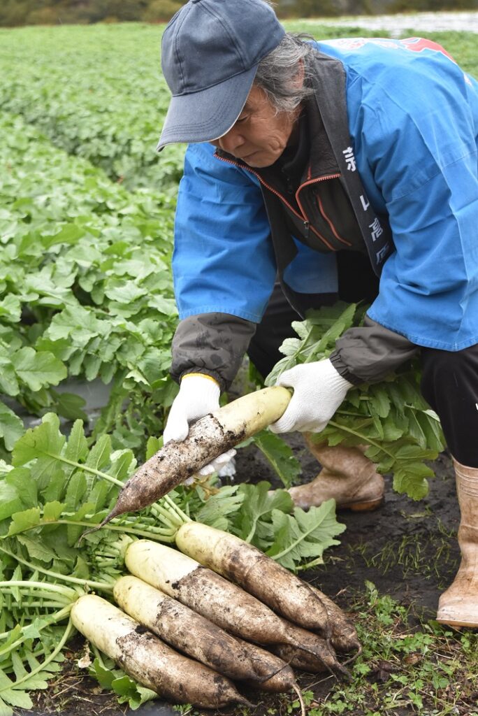 名古屋帯 大庭 栗皮色 芸術 砂丘 山 お仕立て込み