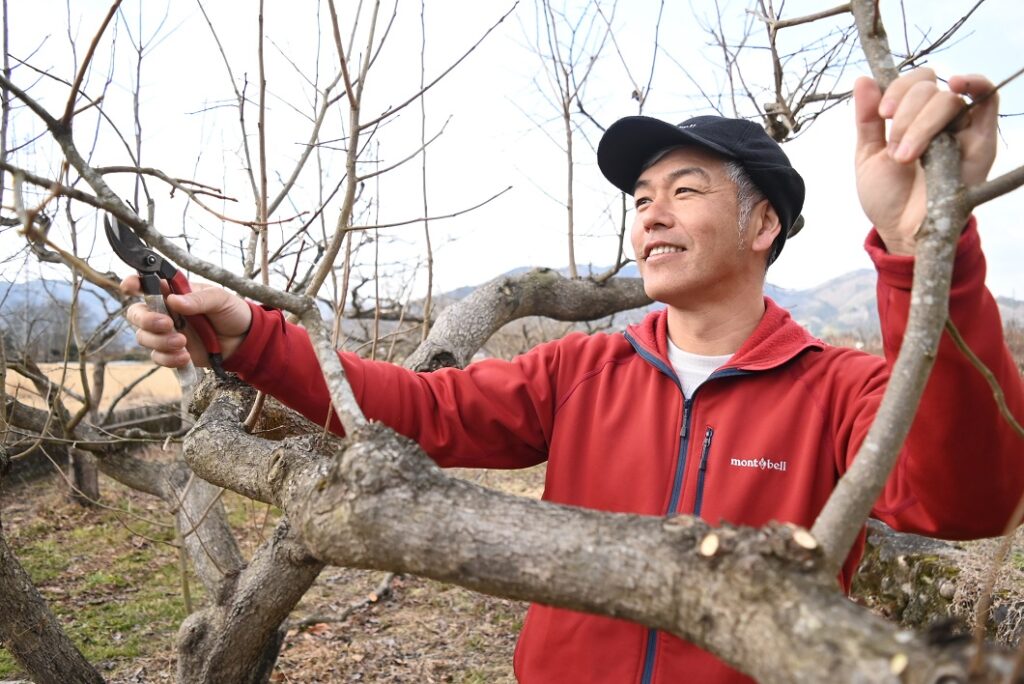 久世の「西条」後世へ／久世西条柿生産組合