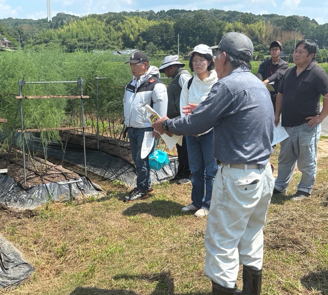 アスパラガス見学会を開催 | JA晴れの国岡山