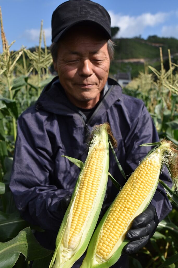 食べる宝石「イエローダイヤモンド」出荷始まる／真庭市