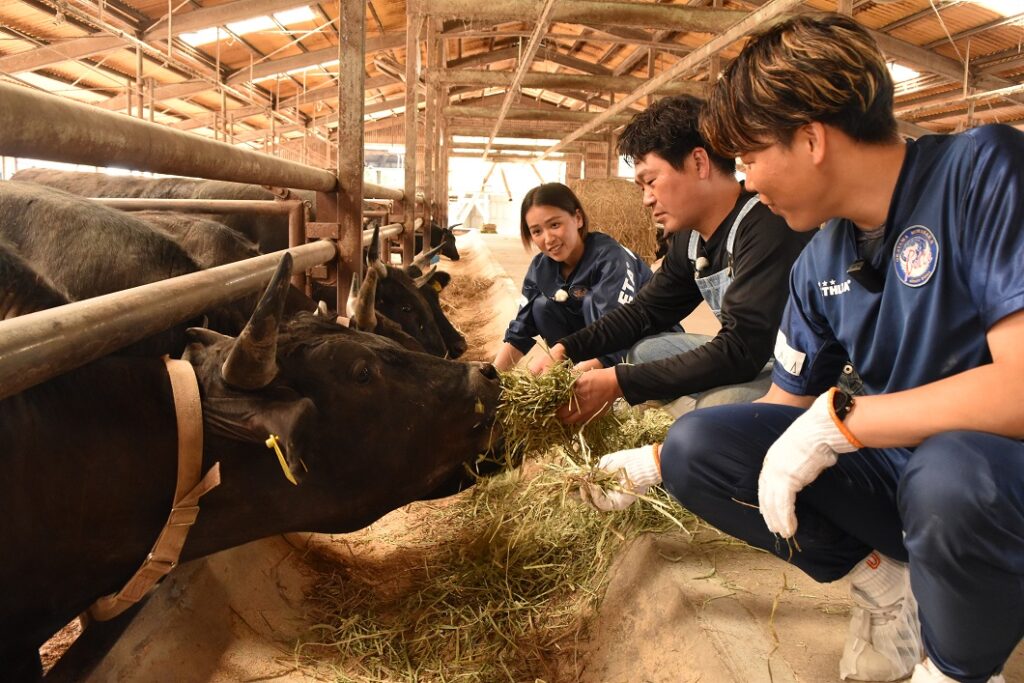 「なぎビーフ」盛り上げよう！／勝英統括本部