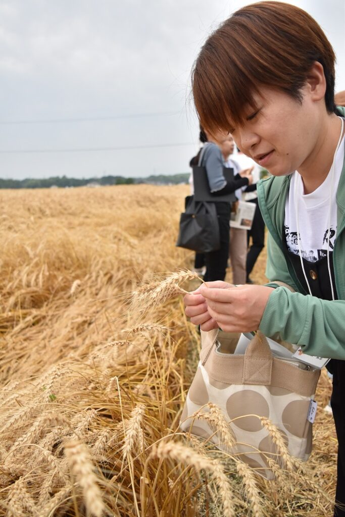 農商工協力で津山産小麦を普及推進/津山市