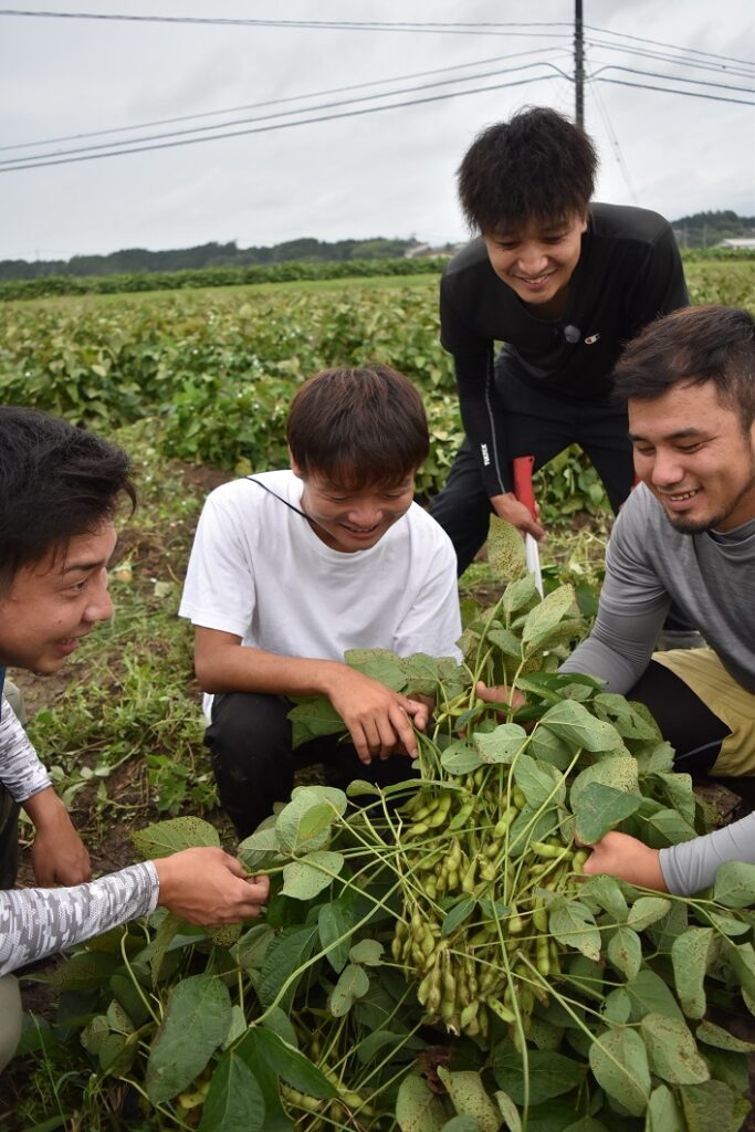 黒大豆枝豆が旬／勝英統括本部 | JA晴れの国岡山