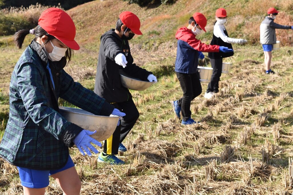 児童が水田にカキ殻散布／真庭市 | JA晴れの国岡山