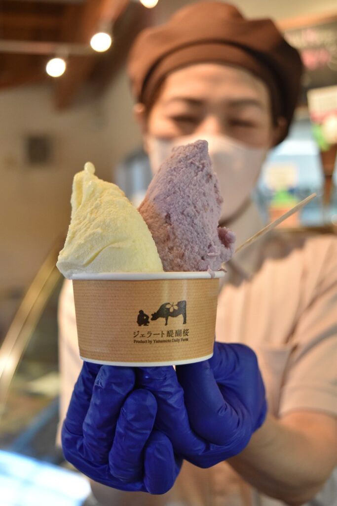 真庭の特産がジェラートに変身/真庭市