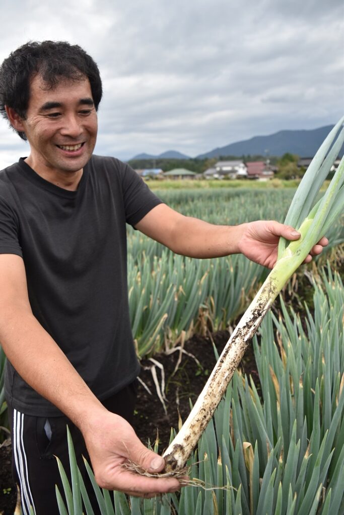 蒜山高原で白ネギ出荷開始