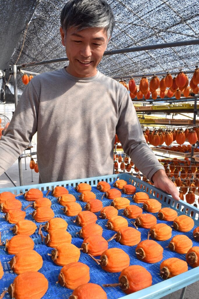 西条柿加工が最盛／真庭市