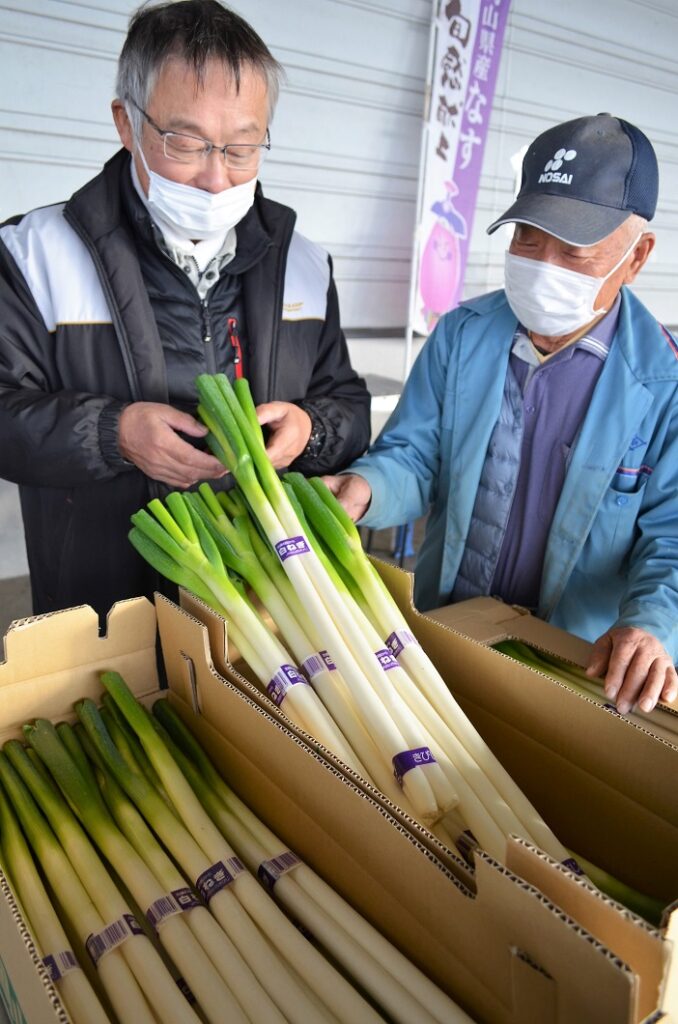 白ネギ産地維持へサポート／吉備路白ネギ生産出荷組合