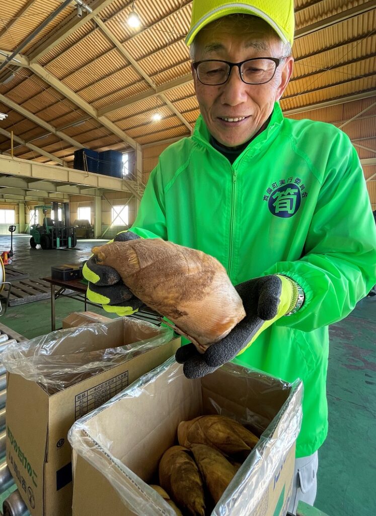 真備のタケノコ出荷始まる／倉敷市