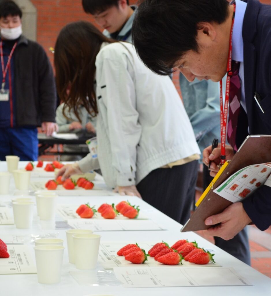 イチゴ食味◎　藤井さん最優秀／岡山・倉敷地方共進会