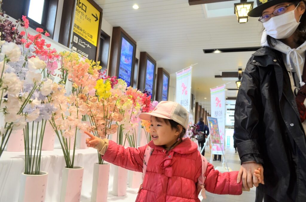 記念日彩るスイートピー華やか／船穂町花き部会