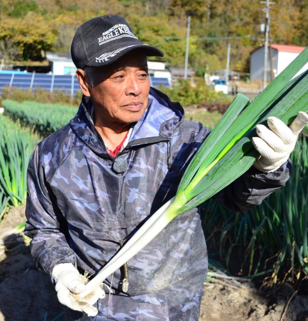 高品質な白ネギ出荷／吉備路白ネギ生産出荷組合