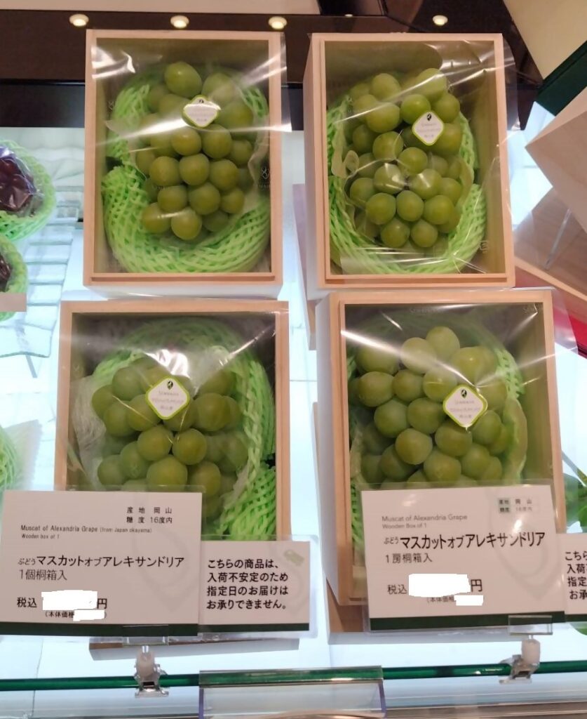 いちばなし】大田市場競りの様子とアレキ初売り | JA晴れの国岡山