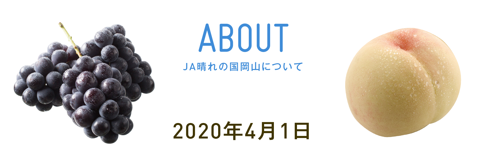 ABOUT JA晴れの国岡山について