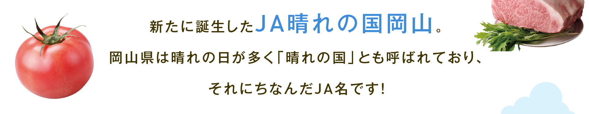 新たに誕生したJA晴れの国岡山。岡山県は晴れの日が多く「晴れの国」とも呼ばれており、それにちなんだJA名です！