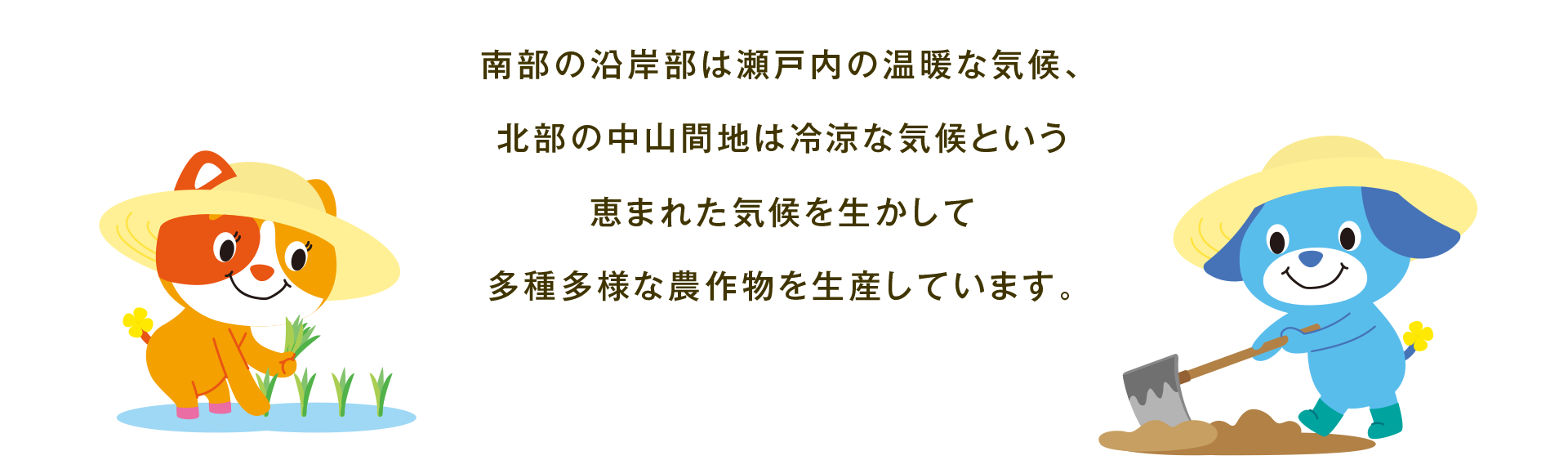 南部の沿岸部は瀬戸内の温暖な気候、北部の中山間地は冷涼な気候という恵まれた気候を生かして多種多様な農作物を生産しています。（田植えをするサンと畑を耕すソラのイラスト）