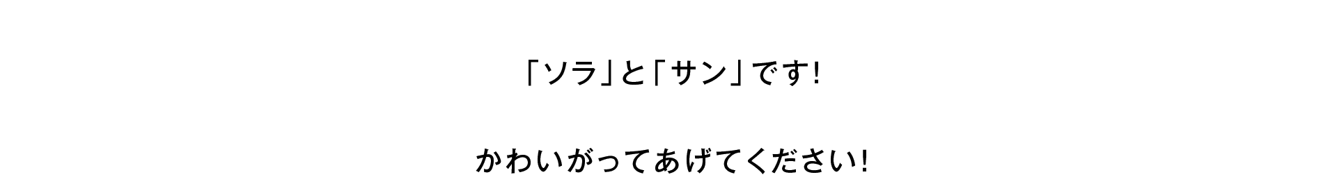 「ソラ」と「サン」です！かわいがってあげてください！